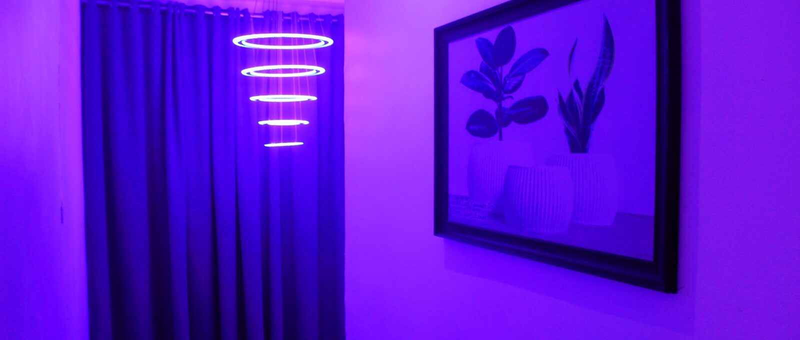 Jossy Luxury Shortlet Ventures image 4