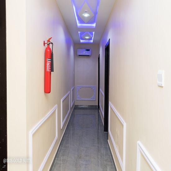 Iris Gold Suite image 4