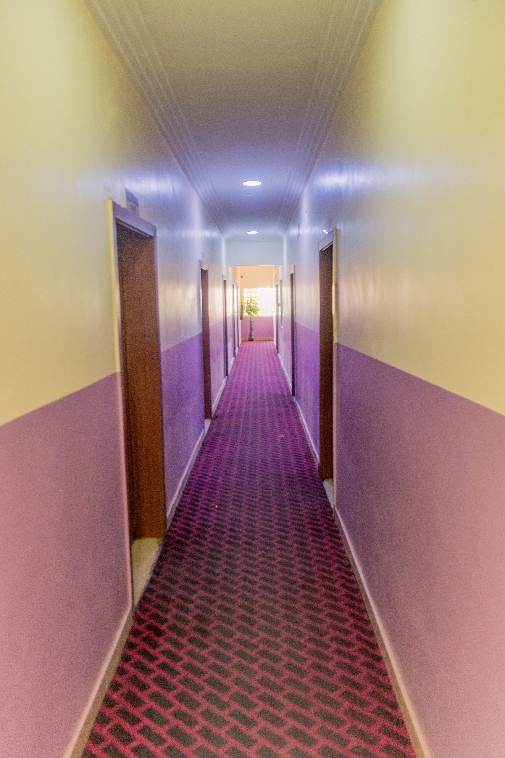 Flourish Hotels Limited image 3