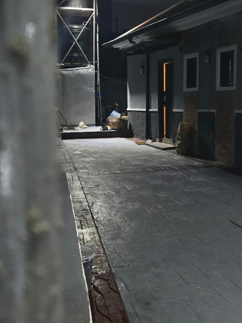 Paddy Deluxe Apartment image 2