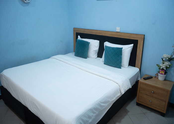 Eleven Apartment- Agidingbi image 5