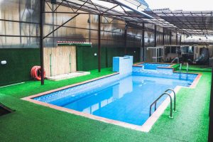 Spanish Kingdom Apartment and Suites image 3