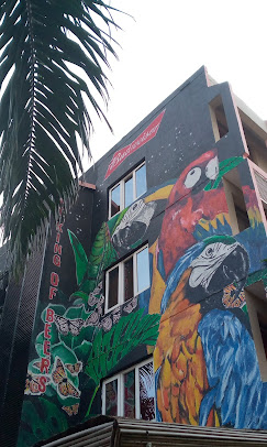 The Blowfish Hotel image 5