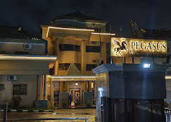 Pegasus Hotel and Suites image 4