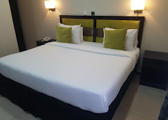 Adig Suites Surulere image 5