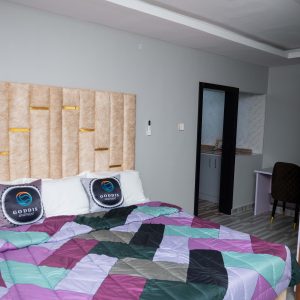 Clssuc One Bedroom Apartment