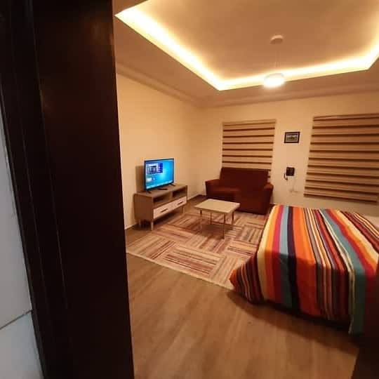 Standard One Bedroom Apartment