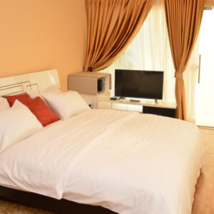 Studio One Apartment