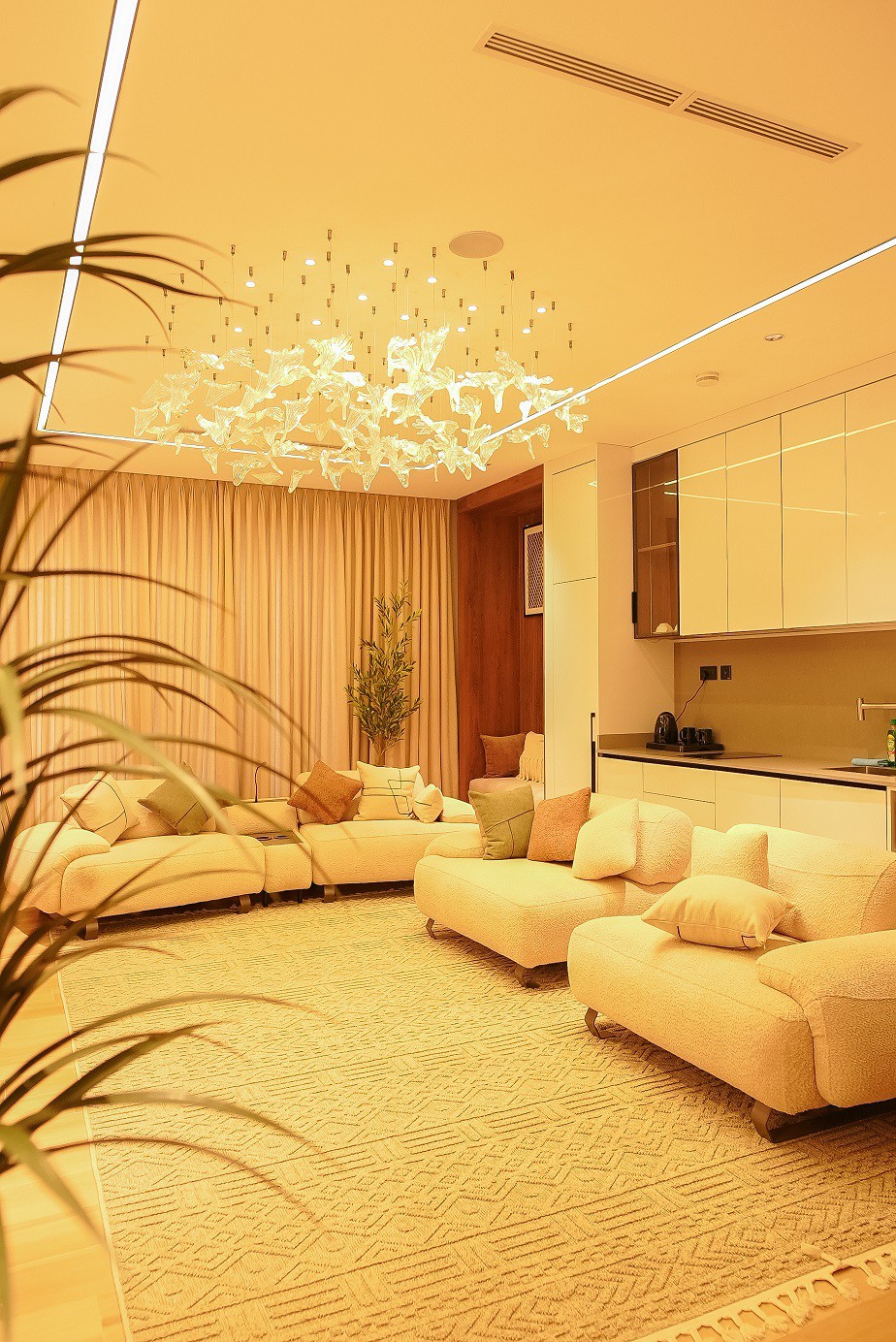 Three Bedroom Executive Suite